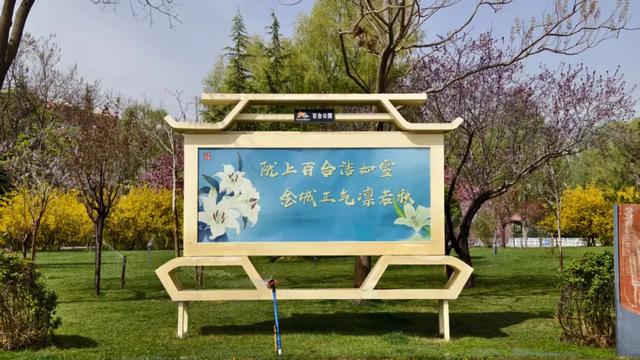 黄河之滨漾清风 清廉兰州入画来