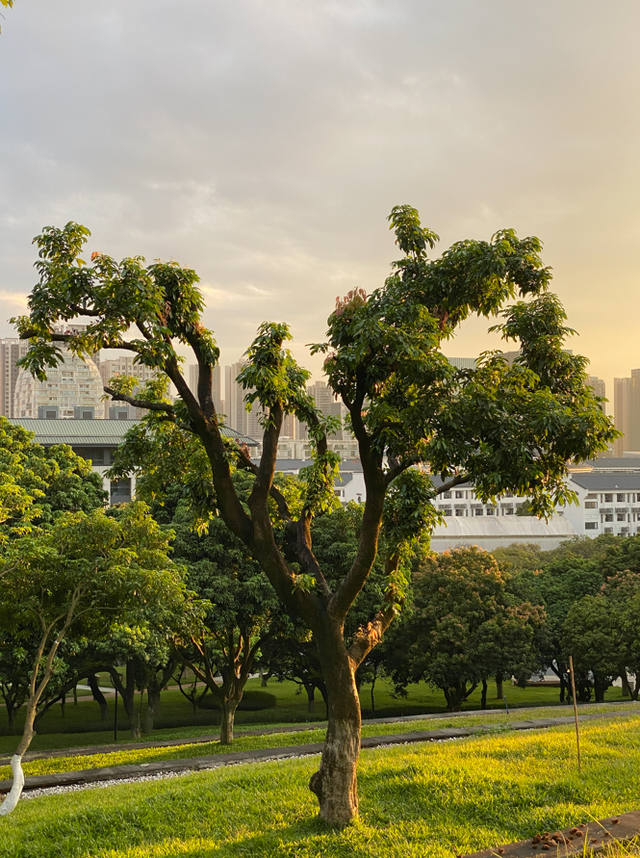 麒麟山真理公园1：这里的美景惊艳整个黄埔，你来过这里吗？