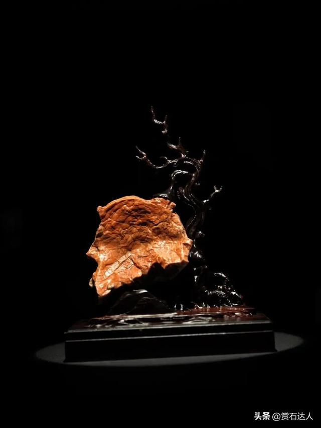 2026春季阿拉善玉·观赏石文化旅游活动盛大启幕，精品奇石欣赏