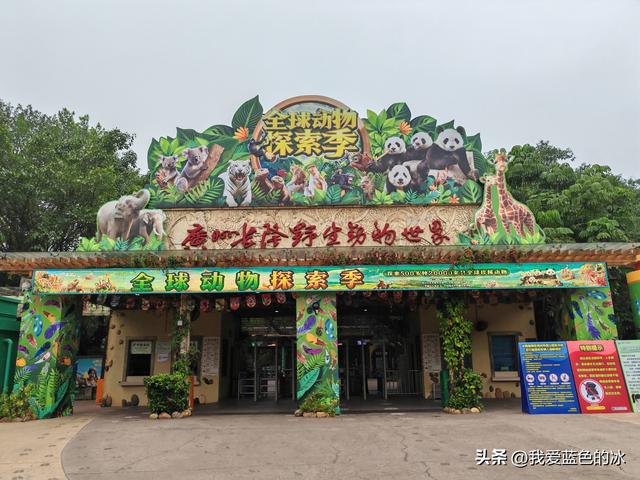 参观广州长隆野生动物园，全程感觉眼累手累腿不累