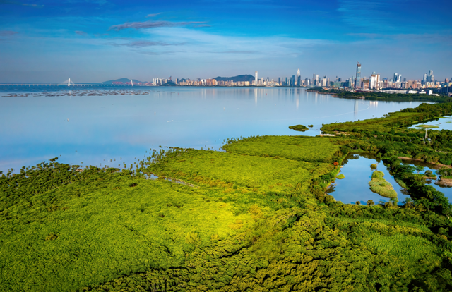 大美湿地“深”有诗意