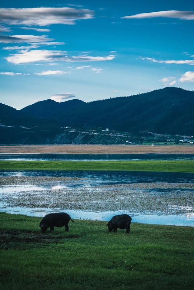 8月旅行地推荐！这10处目的地正过22℃无蚊夏天，还是全年最美！