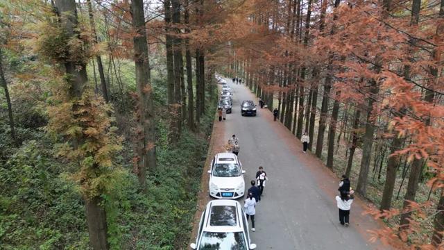 初冬时节红石梁迎来最美打卡季