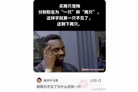 神回复：10斤棉花和10斤铁砸在脚上，哪个更疼呢？图片