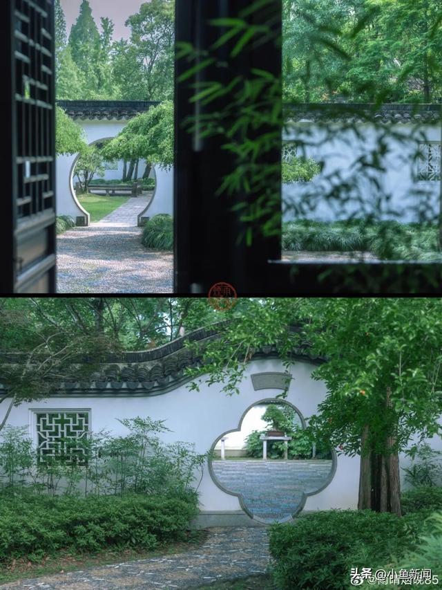 我等得花儿都...开了