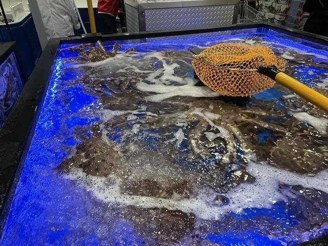 广州哪里买花胶比较好 2025年广州哪里买花胶比较好一点