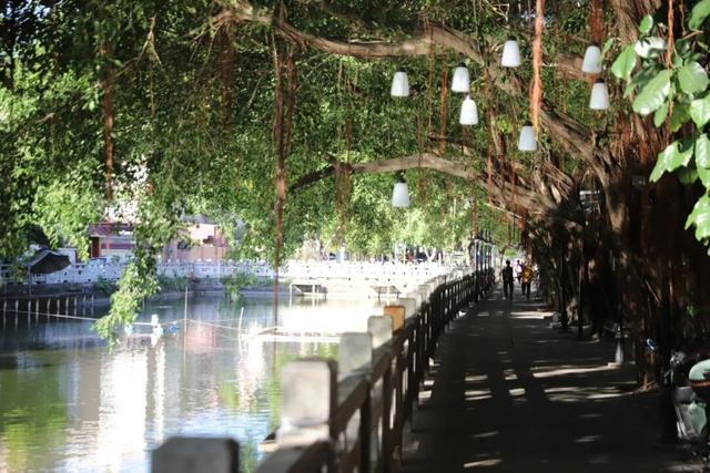 东莞有个宝藏地！下坝坊的24小时，从静谧古村到流光幻境