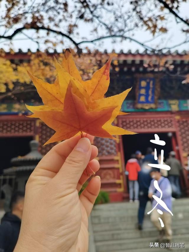 以我4次经历，带你打卡北京香山，北京的朋友请补充