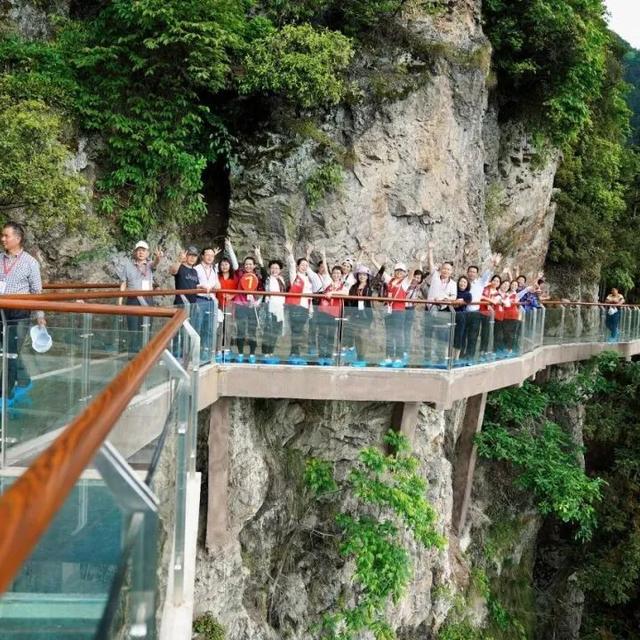 秋冬遛娃“药”新鲜！能吃能玩还能“养”，这条游玩路线一站式拿捏