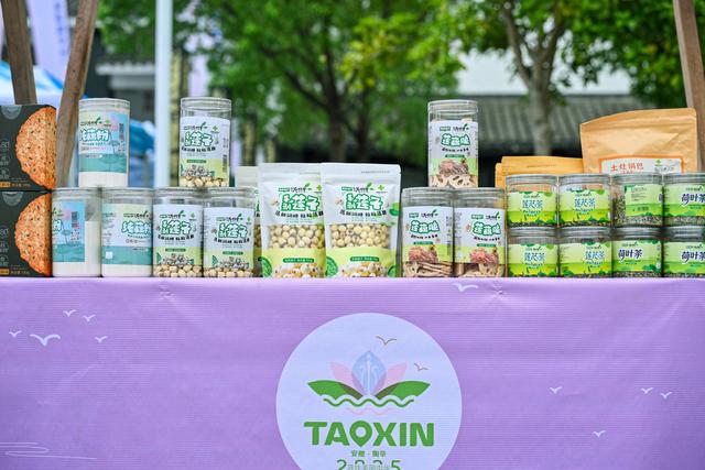 以定向之名，遇见最美陶辛—全国旅游城市定向系列赛安徽陶辛站）