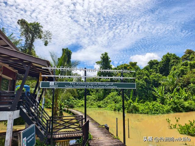 马来西亚(32)砂拉越州⑥世界遗产尼亚洞窟探险