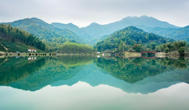 露营、垂钓……富阳这个村游客不断，越来越红火！