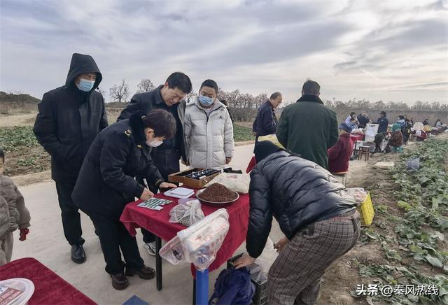 彬州市：多举措提升罗店村柿林观赏地游客满意度