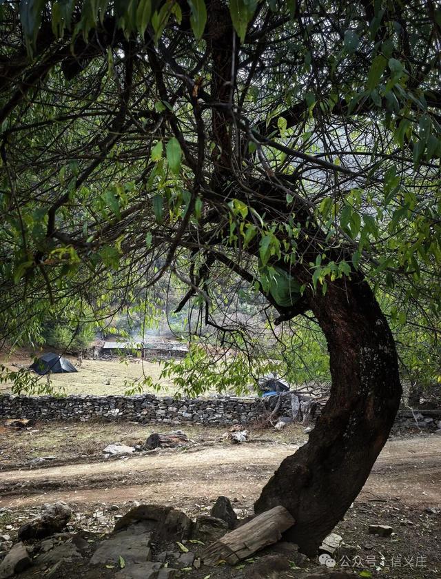 雨崩，一个让人语崩的地方（四）蹦蹦跳跳出雨崩