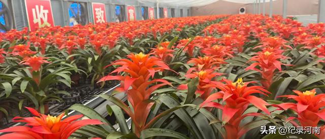 中国旅游市场呈现出供需两旺的繁荣景象