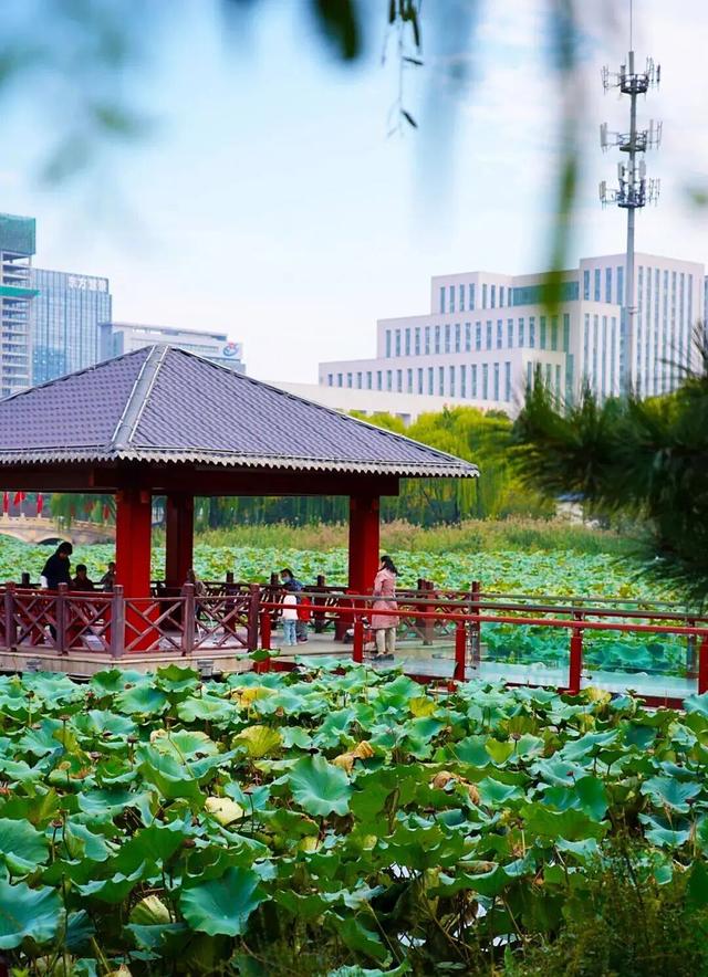 接下来临沂的秋天 | 这10处绝美打卡地别错过！先收藏慢慢逛~