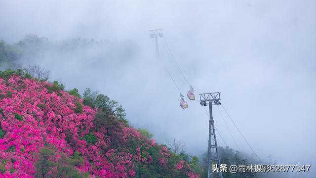 在黄陂，这样的美景你见过吗？