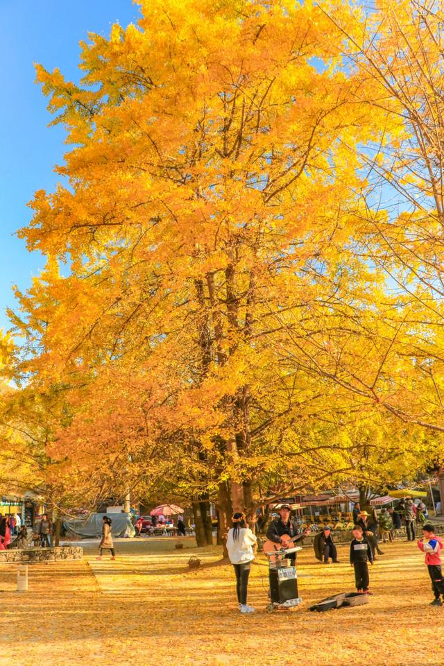 反向操作真香！冬季避开人潮的云南小众玩法，人少景美还省钱