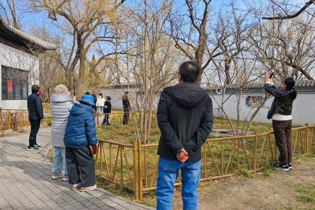 津门寻香，这里的花儿开好了！