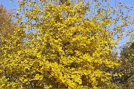 单位里,只要没开除你,你就好好上班，总有熬出头的一天图片