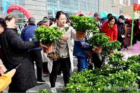 2025年兰州春季花卉展开幕图片