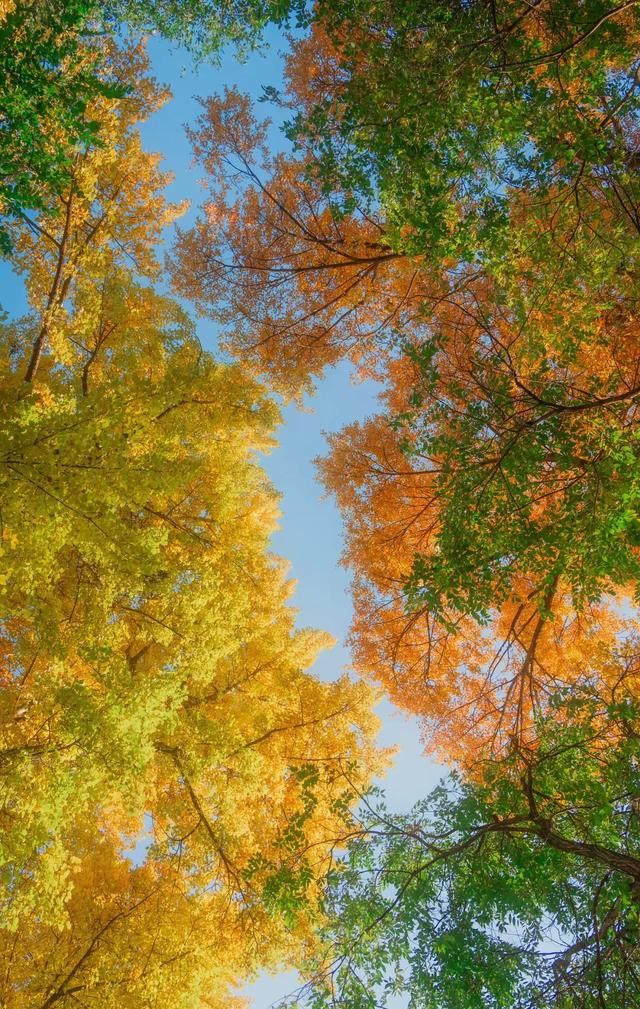 净化心灵的风景壁纸