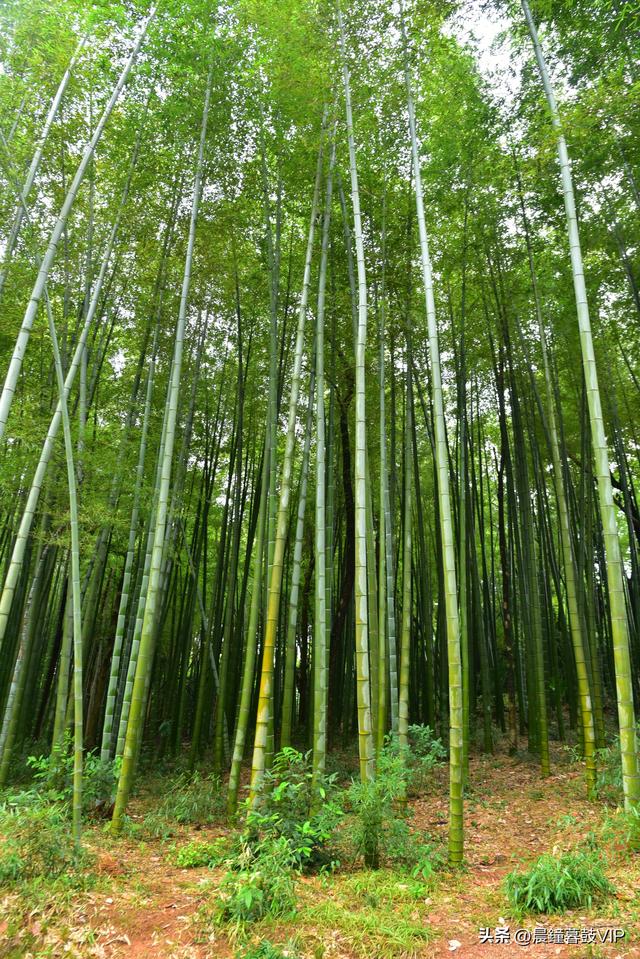 刘主席故居--花明楼（5A)