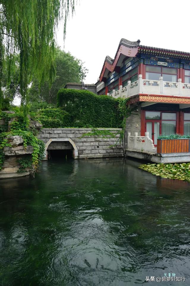 北京什刹海西海湿地公园：人少景美的赏荷胜地，还有一座美术馆