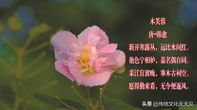 国庆长假最后一天中雨，闲坐家中品唐诗过寒露