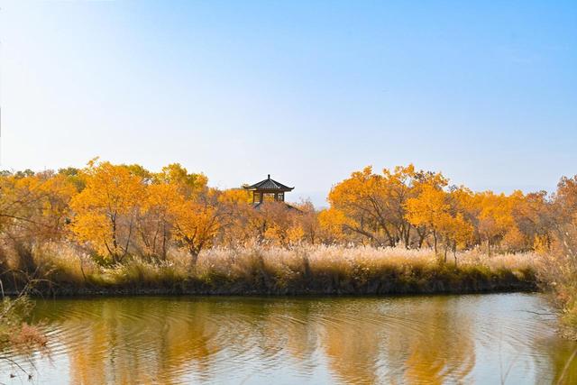 10月观赏最佳，国内10大胡杨林，21天黄金观赏期，秋日的金色盛宴