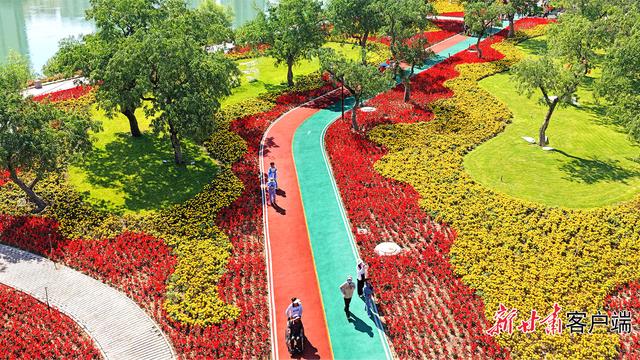 永靖县黄河花堤：繁花织就休闲打卡地