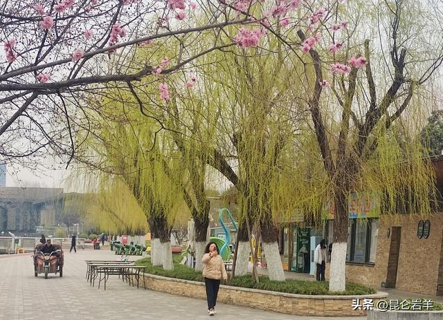 西安市以花为“媒”精心培育壮大赏花经济春日文旅消费持续升温