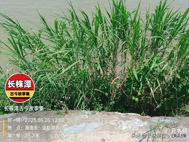探秘湘潭正泰码头，这曾是“湘潭澳门”发源地