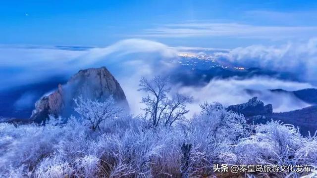 秦皇岛多地惊现雾凇奇观，玉树琼枝，绝美不输东北！