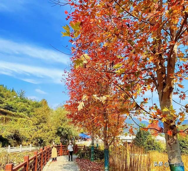 江南香山——天台·南黄古道