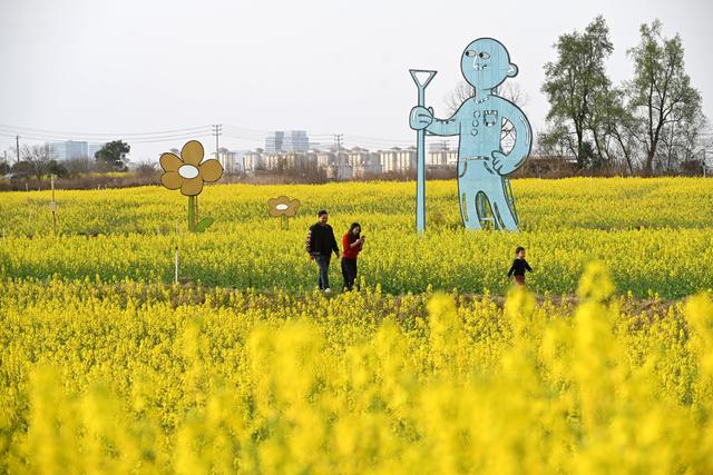 成都绕城绿道变“金色长廊” 市民花海骑行打卡忙