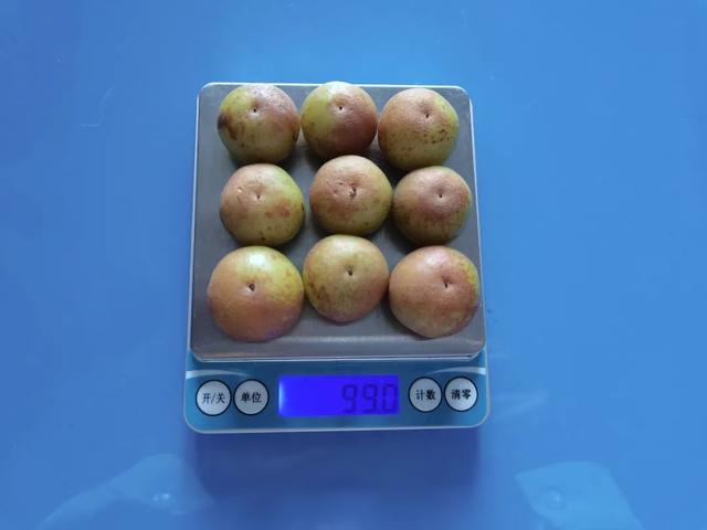 这种水果维生素 C 含量是橙子的近 8 倍！被誉为便秘人士的“救星”！