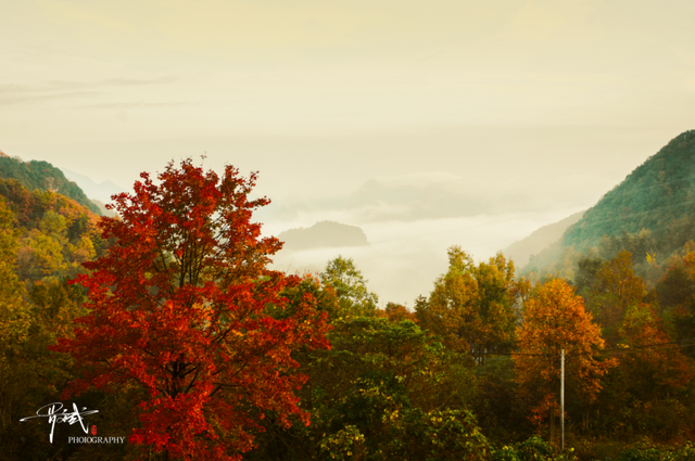 来广元月坝，解锁一场“多巴胺”初冬