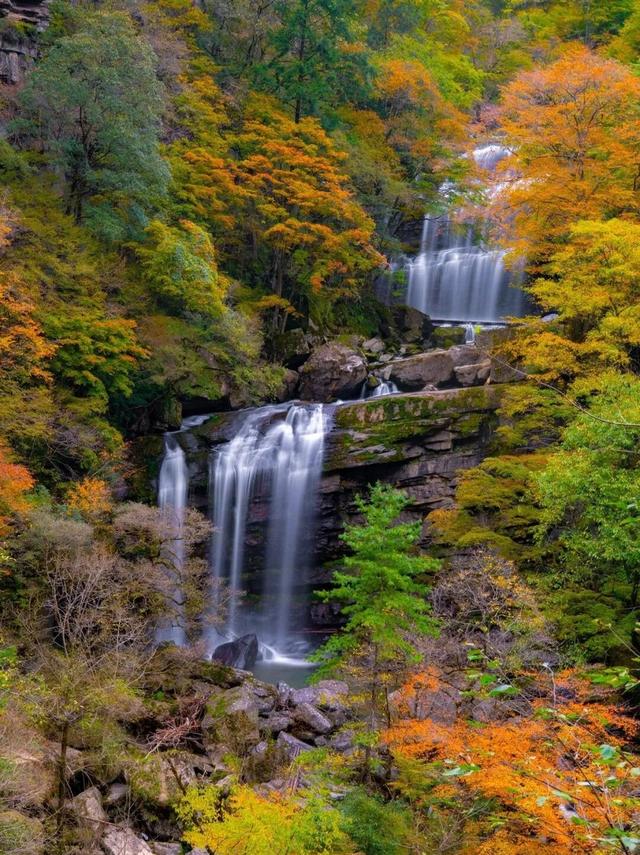 汉中黎坪景区闭园公告