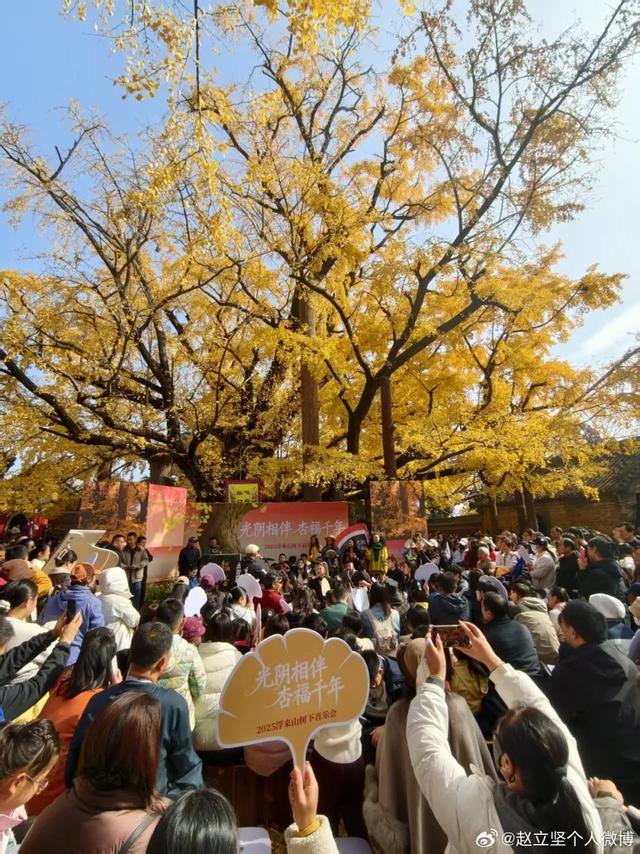 连发两篇!赵立坚推介日照这一美景:每一帧都是壁纸!