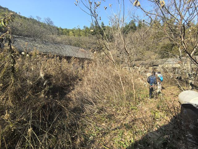 南京第二次到镇江武岐山空青山郊野徒步