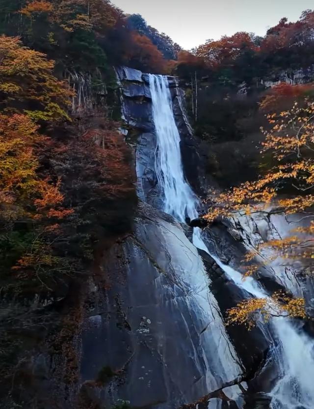 2025年的秦岭山麓依旧迷人