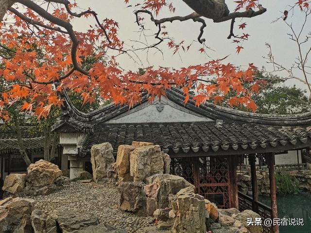 苏州居然还藏着一个“中国四大枫叶胜地”！