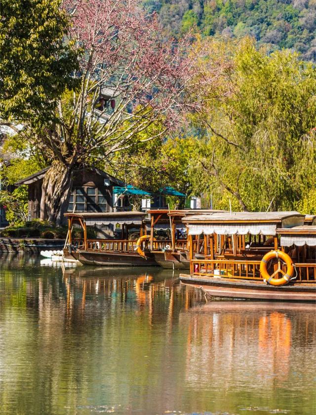均温25°C，一年晴天300天的滇西小城，去躺平几日简直不要太快乐