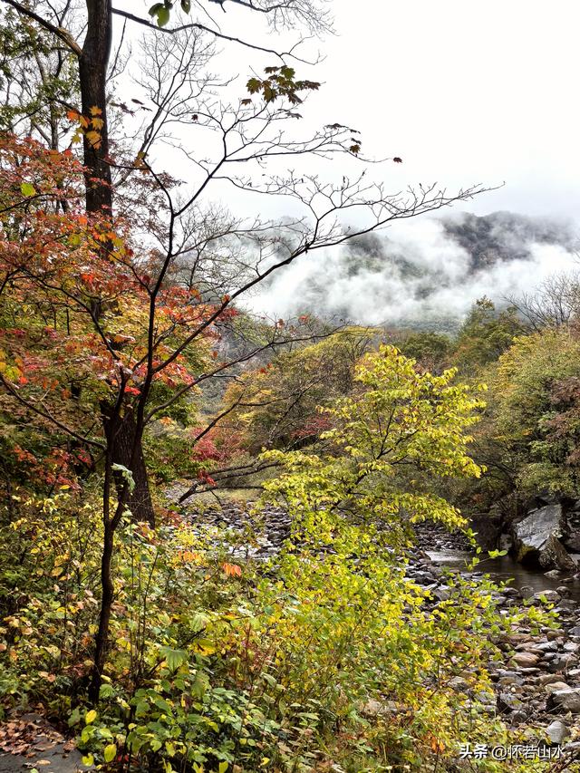 2025辽宁赏秋之旅日记(2)——游览丹东蒲石河森林公园