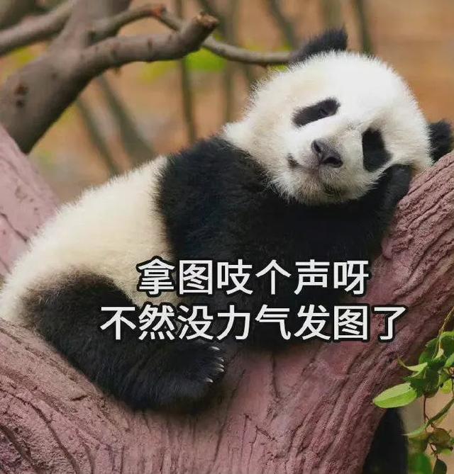 手机锁屏壁纸8.03