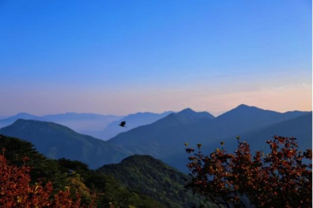 秋染大别山｜金彩天堂寨限定浪漫已上线，诚邀您开启影像创作之旅