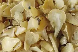 中药顶流附子，不能怕它而不敢用它，没有附子，三阴证就很难解决图片