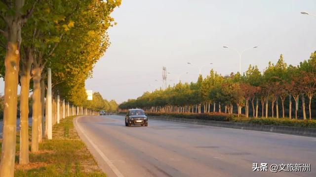 红枫公路、孤独的树......新洲这波秋日「隐藏款」，你知道几个？
