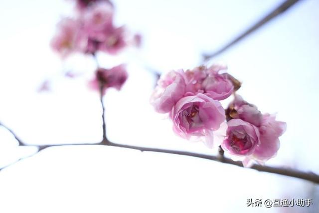 腾龙“20-40mm F/2.8 Di III VXD”镜头评测!